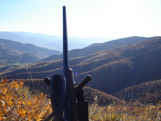 Model 1885 Mule Deer Hunt 2008