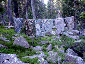 Mossy Oak Camouflage patterns in the Uinta Mountains