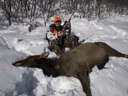 Dallen with his cow elk taken in 2010 with a Browning A-Bolt Stainless Laminate 243 WSSM 
