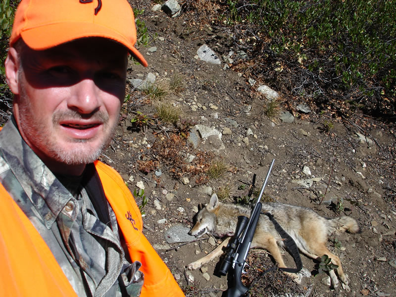 This coyote was turned inside out with a 140g Nosler Accubond from my X-Bolt 270 WSM