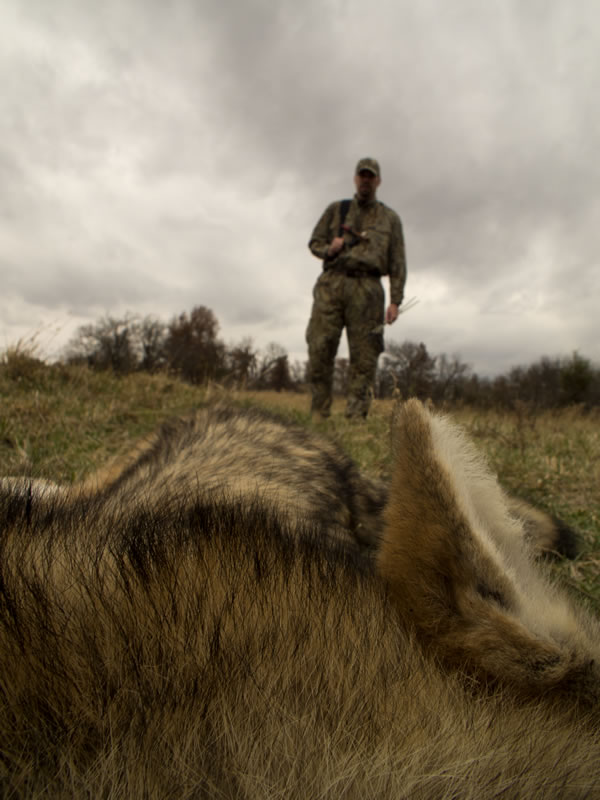 Mossy Oak Duck Blind Coyote Hunting