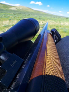 My Model 1885 in 243 WSSM on the bench while prairie dog hunting.