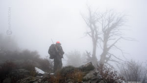 Dallen Mule Deer Hunting in 2009 Wallpaper