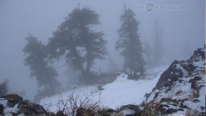 In The Clouds Mule Deer Hunting in 2009 Wallpaper