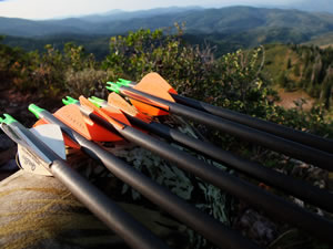 My favorite arrow vanes, Quick Spin Speed Hunters