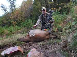 My 2013 Spike Elk Taken with a Browning Adrenaline Bow