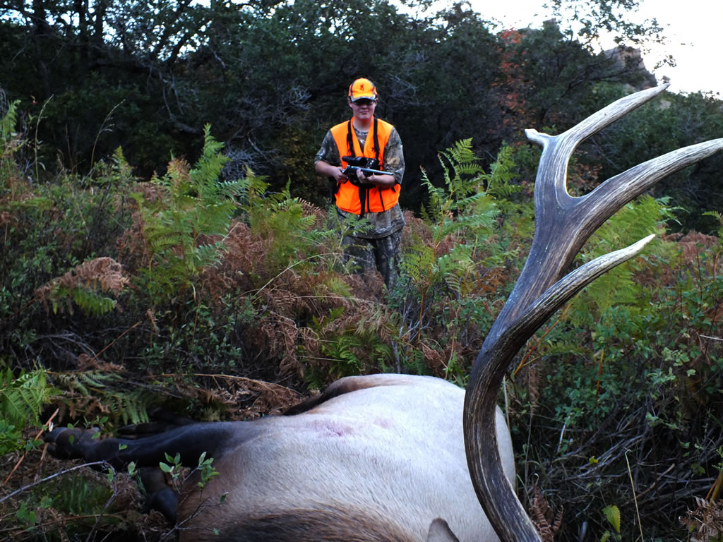 Dallen Walking up to his 2013 bull elk.