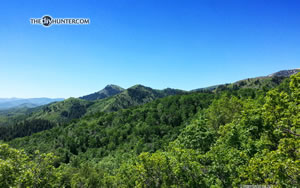 spring green mountains