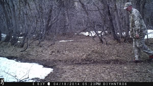 Sample image from Browning Strike Force trail camera