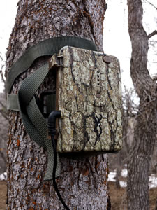 Browning trail camera power pack