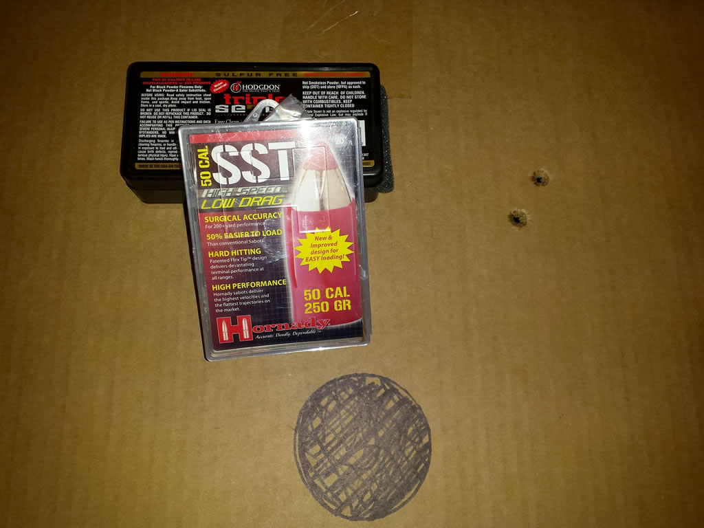 200 yard shots with a 1x20 Nikon Scope, Hornady 250 Gr SST bullets and two Triple Se7en pellets