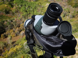 Vortex Razor HD 11-33x50 spotting scope