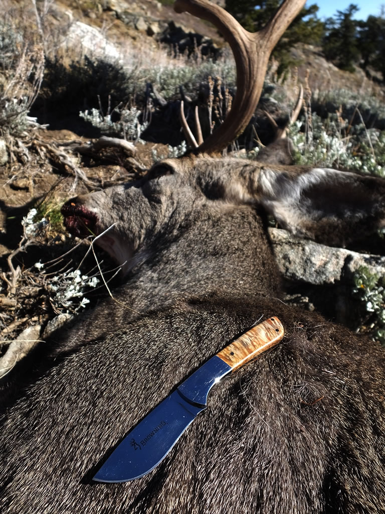 Browning Escalade Knife Model 662 with mule deer