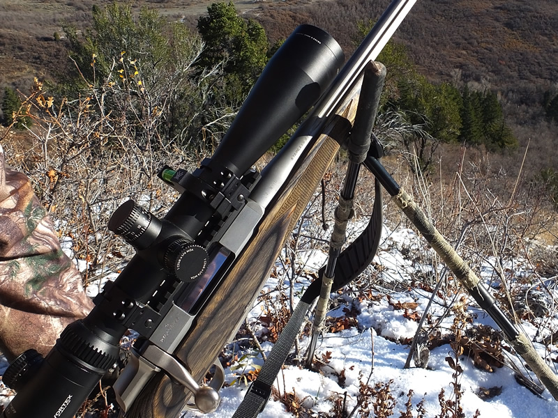 243 WSSM A-Bolt Varmint Stainless