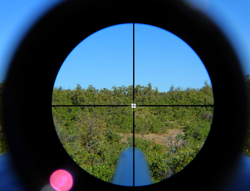 View of muzzleloader target through Vortex 1x24 scope