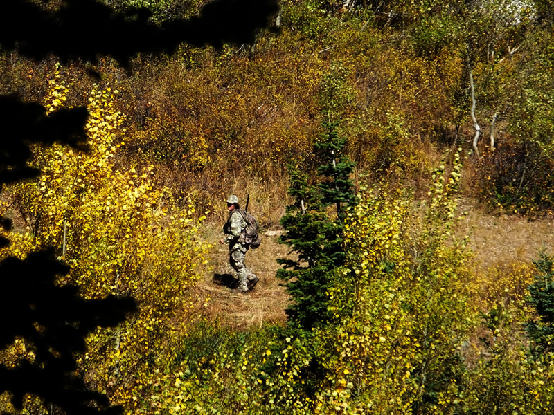 Dallen hiking over to downed buck