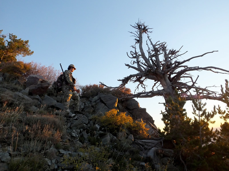 Dallen at Sunrise