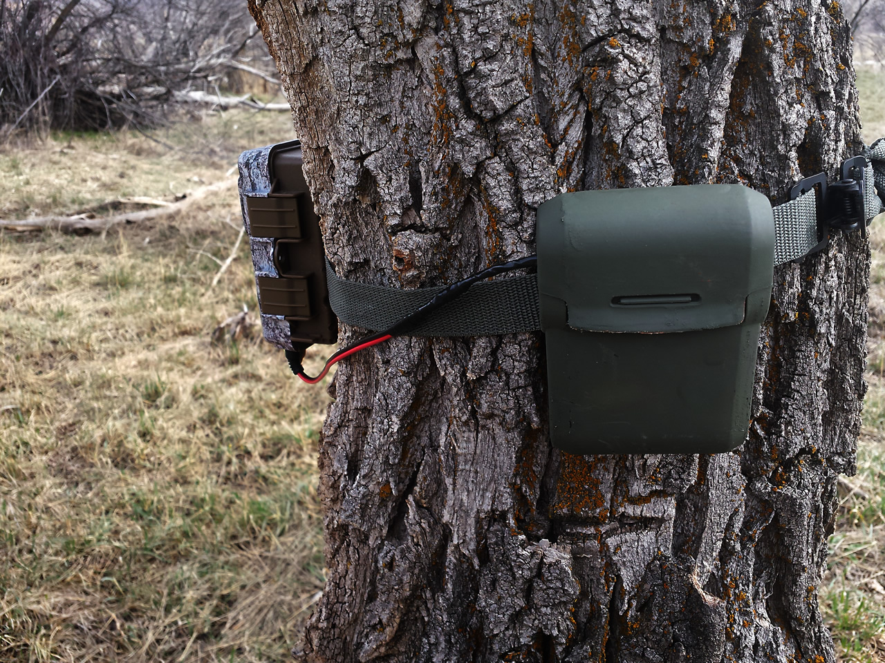 Browning trail camera with DIY 12v AA battery pack