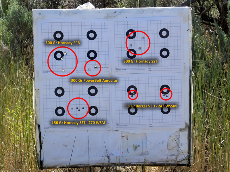 Target bullet groups