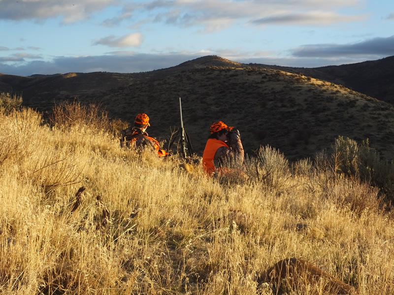 Landen and Kaden glassing for Mule Deer