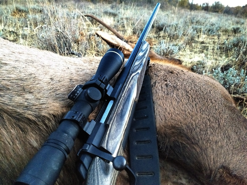 Browning X-Bolt 300 WSM with Elk