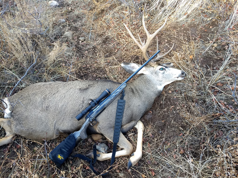 Dallen's buck with his X-Bolt 300 WSM.