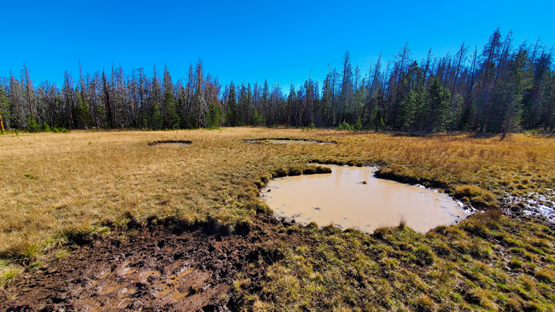 One of many, many wallows I found in the Uinta mountains while archery elk hunting.