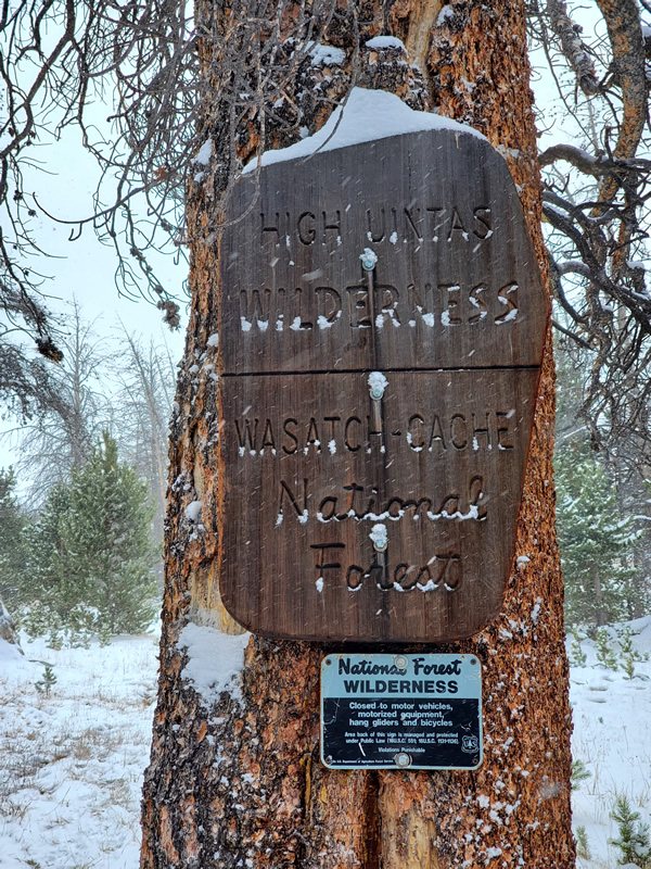 Wilderness boundary sign in the Uinta mountains.