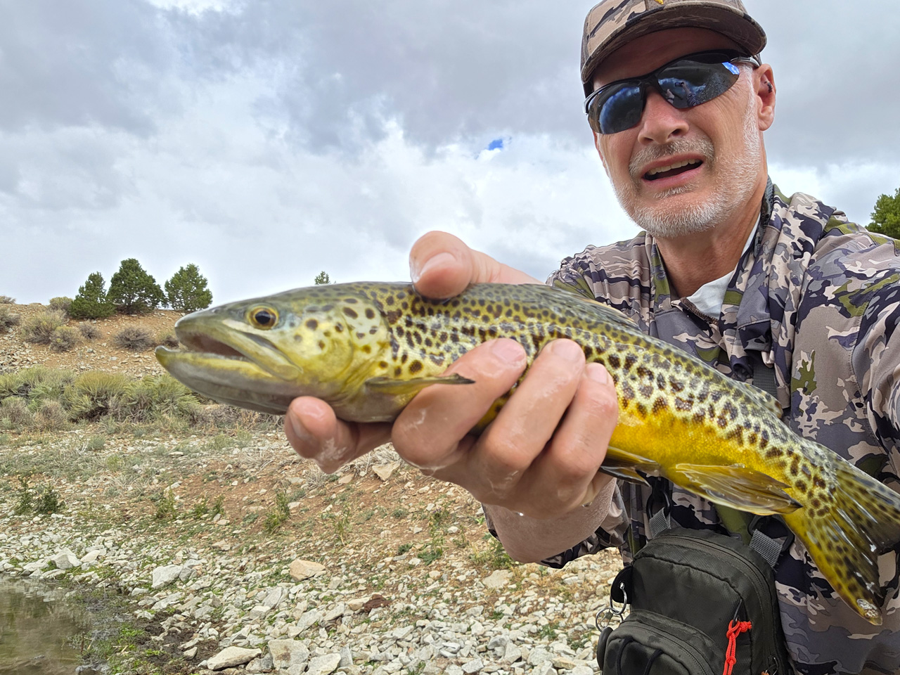 Tiger trout from Bastian Reservoir